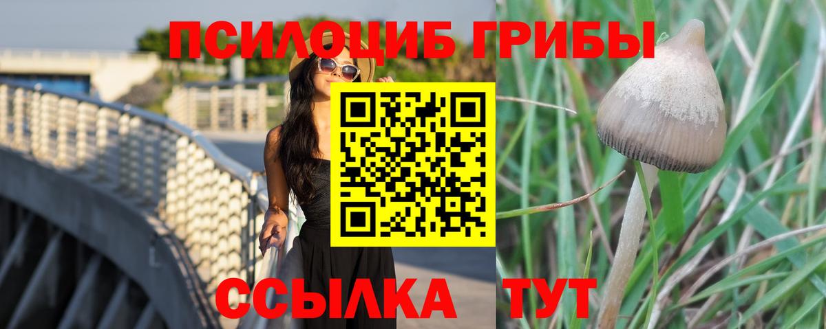 Псилоцибиновые грибы MAGIC MUSHROOMS Воркута